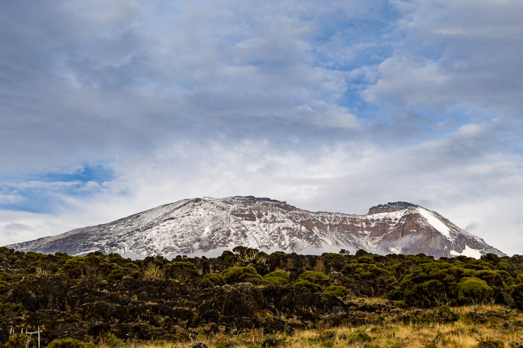 Le Kilimandjaro 