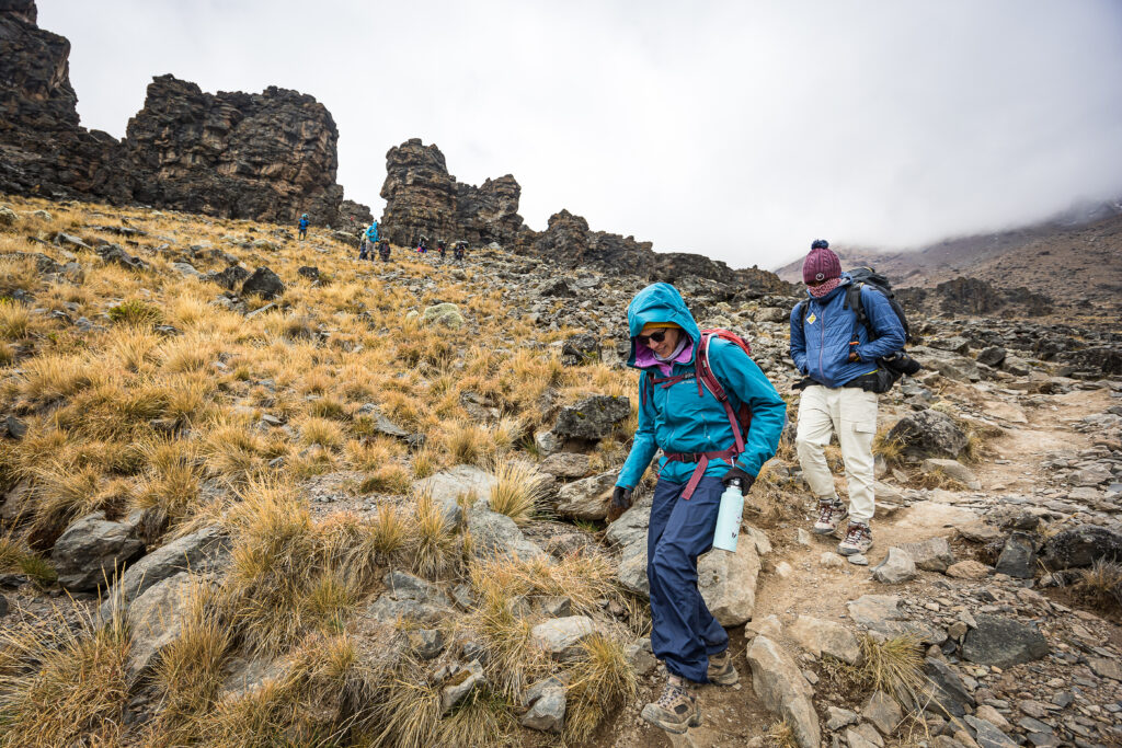 Descente après une pause à Lava tower au Kilimandjaro